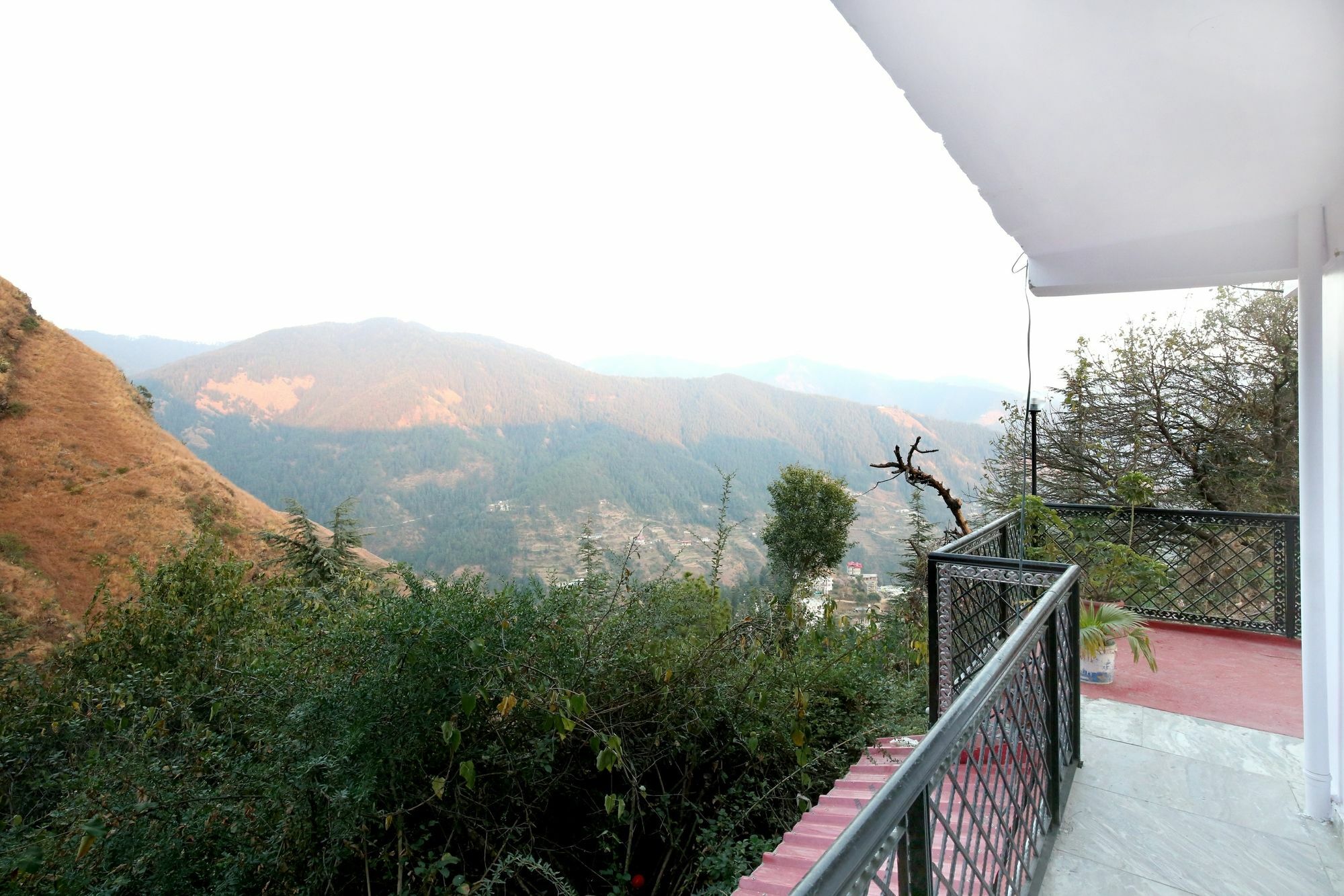 Oyo 10303 Home Himsutra Bhatakuffer Shimla Buitenkant foto